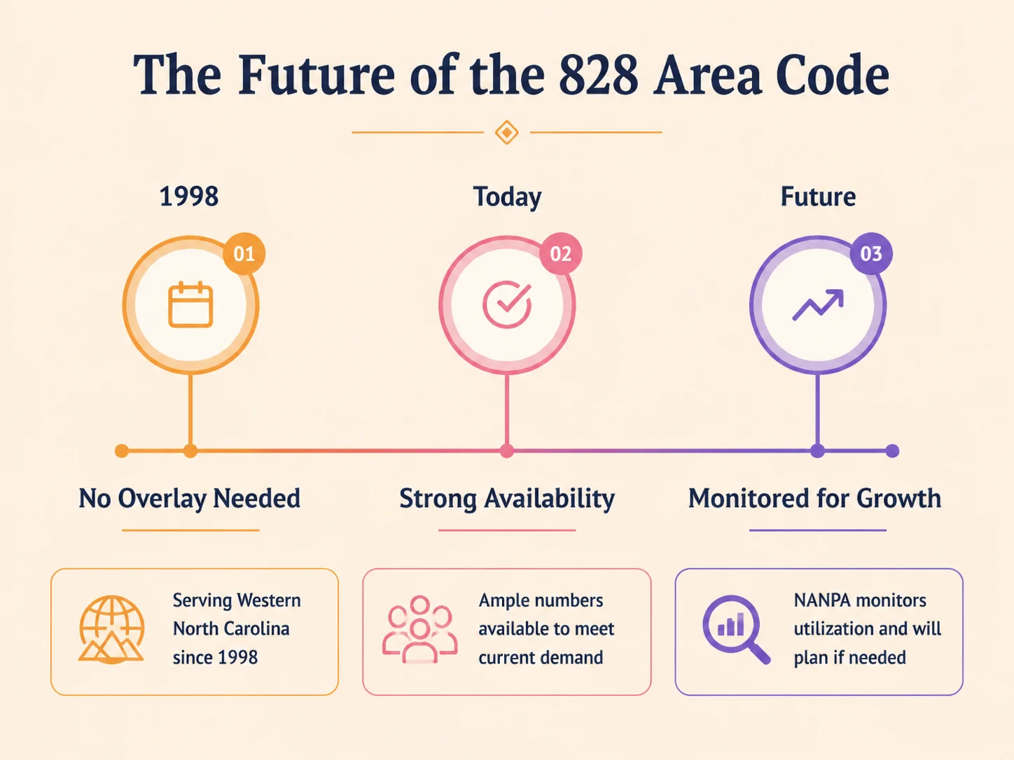 The future of the 828 area code