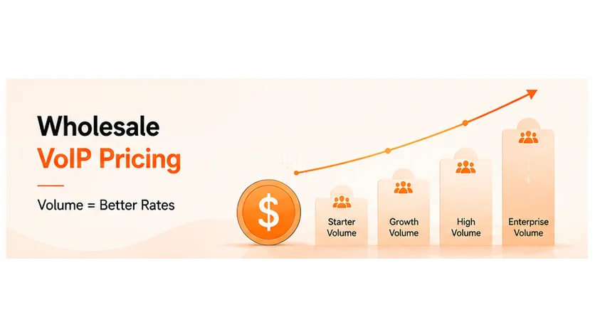 What wholesale VoIP actually is