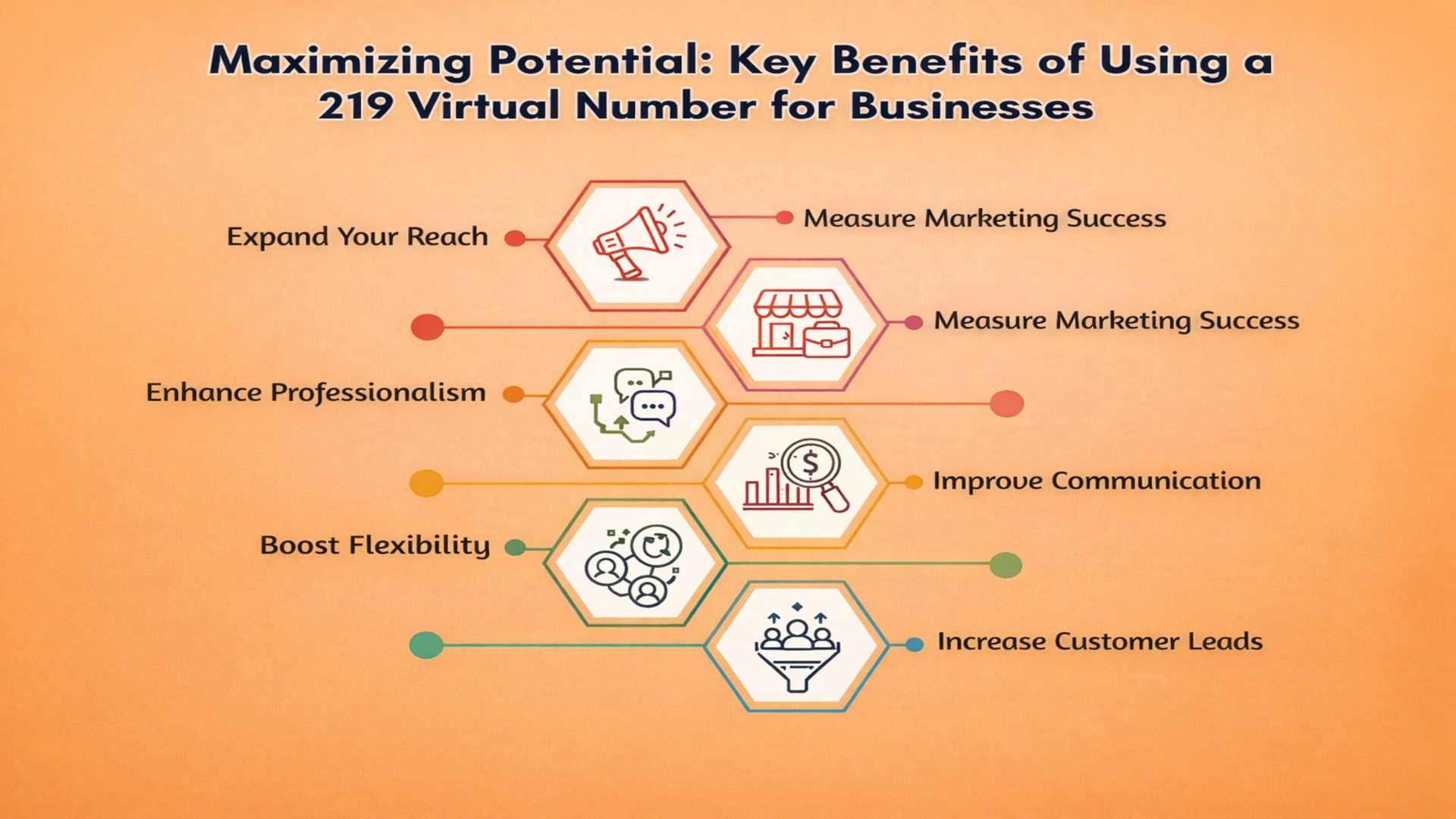 219 Virtual Features